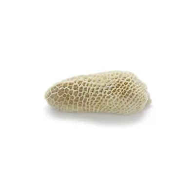 Beef Honeycomb