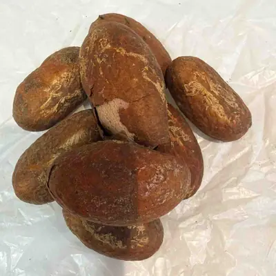 bitter kola