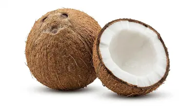 COCONUT FRUIT