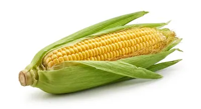 corn per one