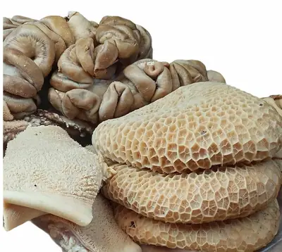LIVER