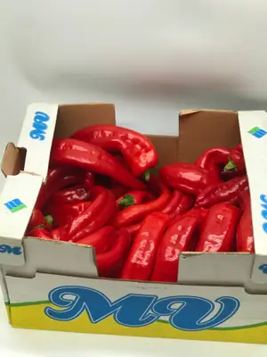 Red Long Peppers