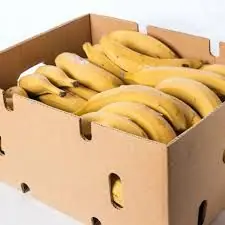 Ripped Plantain