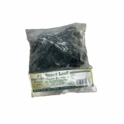 scent leaf