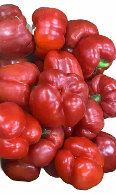 Small Red Pepper Tatashes box