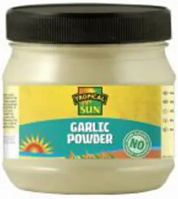 T S GARLIC POWDER 550G