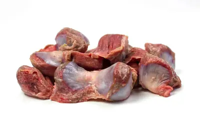 TURKEY GIZZARD
