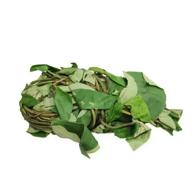 uziza leaf