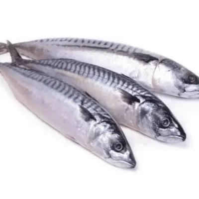 FISH