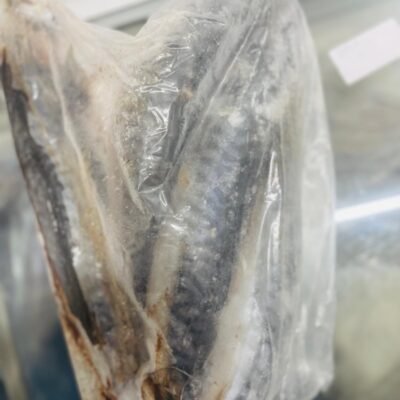 Frozen Fish ( 3 in 1)