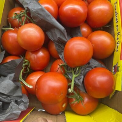 Fresh Tomatoes (per Kg)