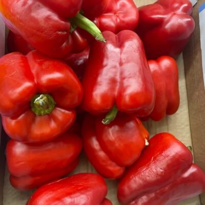 Cayenne Pepper (Shombo)