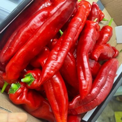 Red Bell Pepper (Tatashe)