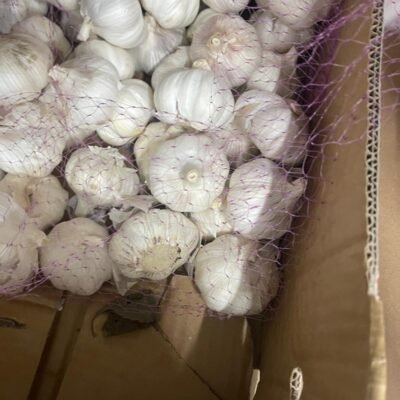 Fresh Garlic (per Kg)